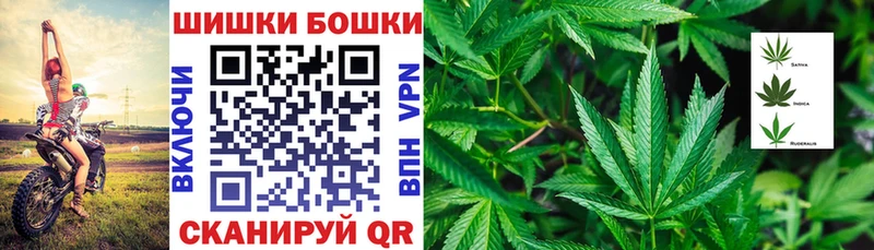 Где продают наркотики Северская Псилоцибиновые грибы  A-PVP  Cocaine  Меф мяу мяу  Бошки Шишки  мега tor  ГАШИШ 