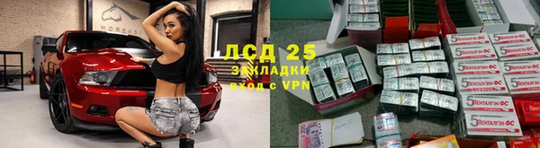 спиды Богородицк