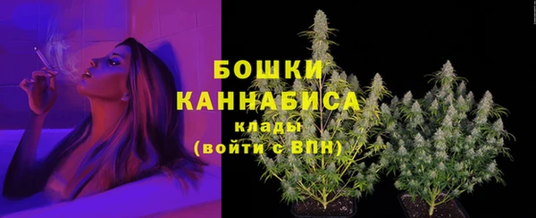 ECSTASY Богородск