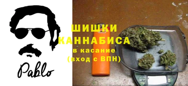 ECSTASY Богородск