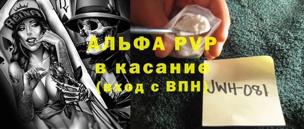 спиды Богородицк