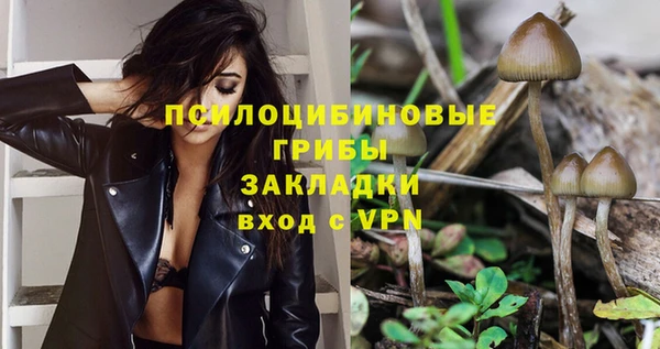 ECSTASY Богородск