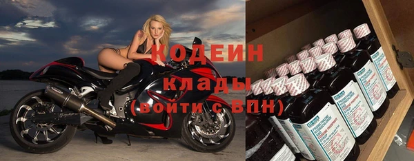 спиды Богородицк