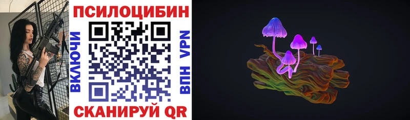 мега ССЫЛКА  Северская  Галлюциногенные грибы Psilocybe 